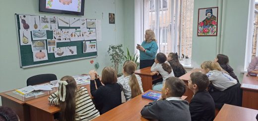 Українські народні інструменти: жива розмова про мистецтво